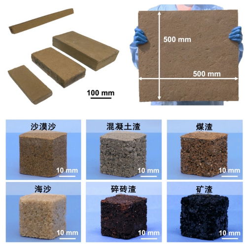 受沙塔蠕虫筑巢启发 我科学家研制出新型仿生低碳建筑材料